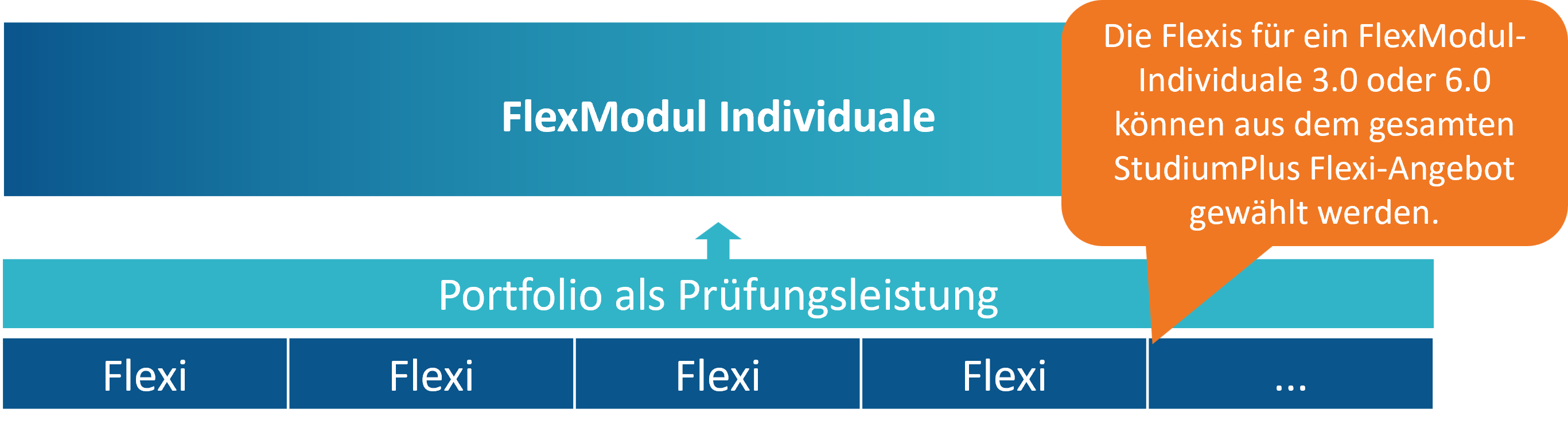 Die Flexis für ein Flexmodul Individuale 3.0 oder 6.0 können aus dem gesamten StudiumPlus Flexi-Angebot gewählt werden.