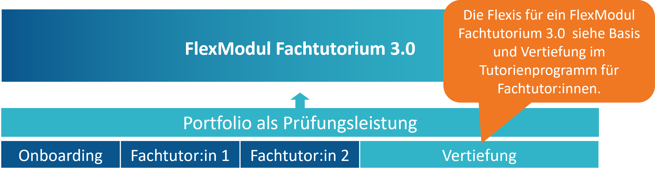 Die Flexis für ein Flexmodul Fachtutorium 3.0 bestehen aus Basis und Vertiefungsangeboten im Tutorienprogramm.