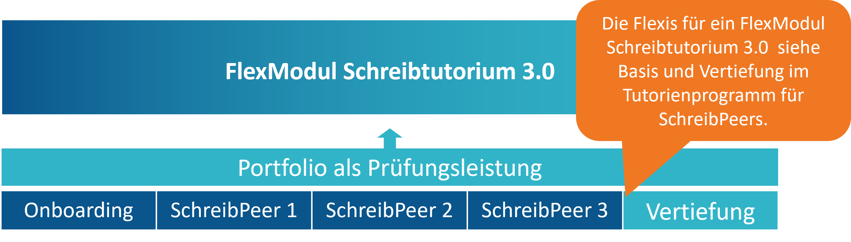 Die Flexis für ein Flexmodul Schreibtutorium 3.0 bestehen aus Basis und Vertiefungsangeboten im Tutorienprogramm für  SchreibPeers.